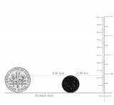 0.40 Carat (ctw) 14K White Gold Real Black Diamond Micro Pave Hip Hop Mens Stud Earrings