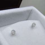 0.20 Carat (ctw) 10k White Gold Round White Diamond Ladies Cluster Flower Earrings 1/5 CT