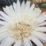0.45 Carat (ctw) 14k Yellow Gold Princess & Round Diamond Ladies Anniversary Wedding Matching Band Stackable Ring