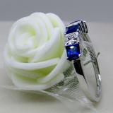 1.00 Carat (ctw) 14k White Gold Princess Cut Blue Sapphire and White Diamond Ladies 5 Stone Bridal Wedding Band Anniversary Ring 1 CT