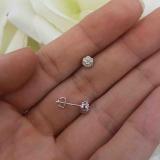 0.06 Carat (ctw) 10K White Gold Round White Diamond Ladies Cluster Flower Stud Earrings