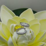 0.50 Carat (ctw) 14K White Gold Round Diamond Ladies Pave Set Huggies Hoop Earrings 1/2 CT