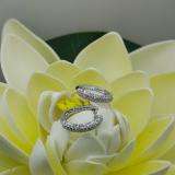 0.50 Carat (ctw) 10K White Gold Round Diamond Ladies Pave Set Huggies Hoop Earrings 1/2 CT
