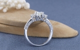 1.00 Carat (ctw) 14K White Gold Side Round & Center Princess Cut Diamond Ladies Bridal Engagement 3 Stone Ring 1 CT