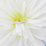 0.20 Carat (ctw) 14K White Gold Round White Diamond Ladies Double Row Curved Anniversary Wedding Band 1/5 CT