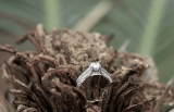 1.20 Carat (ctw) 14K White Gold Round & Baguette Cut Diamond Ladies Vintage Style Solitaire With Accents Bridal Engagement Ring 1 1/4 CT