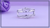 0.25 Carat (ctw) 18K White Gold Round Diamond Ladies Anniversary Wedding Band Enhancer Guard Double Ring 1/4 CT