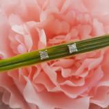 0.33 Carat (ctw) 18K White Gold Real Princess Cut Diamond Ladies Invisible Stud Earrings 1/3 CT