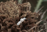 0.80 Carat (ctw) 14K Rose Gold Round Cut Diamond Ladies Bridal Vintage Halo Style Engagement Ring 3/4 CT