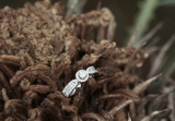 0.80 Carat (ctw) 14K White Gold Round Cut Diamond Ladies Bridal Vintage Halo Style Engagement Ring 3/4 CT