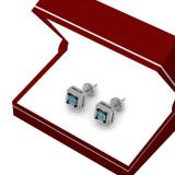0.30 Carat (ctw) 10K White Gold Princess & Round Blue & White Diamond Ladies Square Shape Invisible Set Stud Earrings 1/3 CT