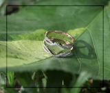 0.35 Carat (ctw) 18K Rose Gold Round Cut White Diamond Ladies Anniversary Wedding Band Split Shank Enhancer Guard Double Ring 1/3 CT