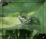0.35 Carat (ctw) 18K White Gold Round Cut White Diamond Ladies Anniversary Wedding Band Split Shank Enhancer Guard Double Ring 1/3 CT
