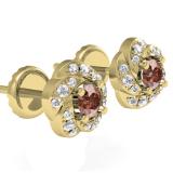0.45 Carat (ctw) 14K Yellow Gold Real Round Cut Champagne & White Diamond Ladies Cluster Halo Style Stud Earrings 1/2 CT