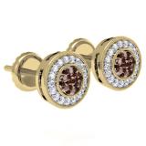 0.55 Carat (ctw) 14K Yellow Gold Round Cut White & Champagne Diamond Ladies Cluster Stud Earrings 1/2 CT