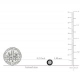 0.30 Carat (ctw) Sterling Silver Round Black And White Diamond Ladies Circle Cluster Stud Earrings 1/3 CT