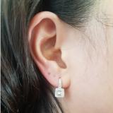0.50 Carat (ctw) 10K White Gold Princess & Round Cut Diamond Ladies Cluster Halo Style Drop Earrings 1/2 CT