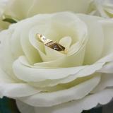 0.04 Carat (ctw) 14K Yellow Gold Round Cut White Diamond Men's Anniversary Cross Ring Wedding Band