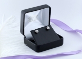 0.25 Carat (ctw) 18K White Gold Round White Diamond Ladies Circle Cluster Stud Earrings 1/4 CT