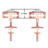 0.25 Carat (ctw) 10K Rose Gold Round Champagne & White Diamond Ladies Cluster Style Stud Earrings 1/4 CT
