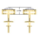 0.25 Carat (ctw) 10K Yellow Gold Round Champagne & White Diamond Ladies Cluster Style Stud Earrings 1/4 CT