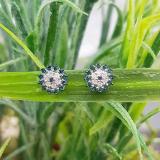 0.25 Carat (ctw) Sterling Silver Round Blue & White Diamond Ladies Cluster Style Stud Earrings 1/4 CT