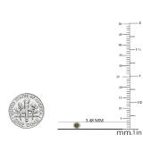 0.30 Carat (ctw) 10K Yellow Gold Round Champagne & White Diamond Ladies Cluster Style Stud Earrings 1/3 CT