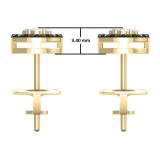 0.35 Carat (ctw) 10K Yellow Gold Real Round Cut Black & White Diamond Ladies Cluster Style Stud Earrings 1/3 CT