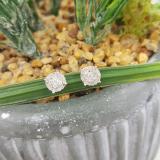 0.35 Carat (ctw) 10K Rose Gold Round Cut White Diamond Ladies Circle Halo Stud Earrings