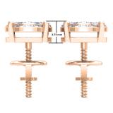 0.35 Carat (ctw) 10K Rose Gold Round Cut White Diamond Ladies Circle Halo Stud Earrings