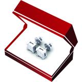 0.25 Carat (ctw) 10K White Gold Princess Cut White Diamond Ladies Square Shape Stud Earrings 1/4 CT