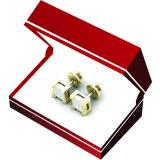 0.25 Carat (ctw) 10K Yellow Gold Princess Cut White Diamond Ladies Square Shape Stud Earrings 1/4 CT
