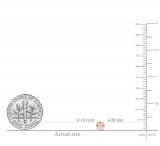 0.45 Carat (ctw) 18K Rose Gold Round Cut Morganite Ladies Solitaire Stud Earrings 1/2 CT