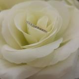 0.18 Carat (ctw) 10K Yellow Gold Round Cut White Diamond Ladies Stackable Anniversary Wedding Band