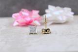 0.06 Carat (ctw) Yellow Plated Sterling Silver White Diamond V Prong Square Unisex Hip Hop Iced Screw Back Stud Earrings