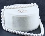 0.20 Carat (ctw) 10K White Gold Round Cut White Diamond Ladies Anniversary Wedding Contour Guard Band 1/5 CT
