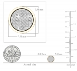 0.10 Carat (ctw) 10K Yellow Gold Round White Diamond Ladies Micro Pave Setting Circle Stud Earrings 1/10 CT