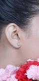 0.20 Carat (ctw) Sterling Silver Round White Diamond Ladies Cluster Style Flower Stud Earrings 1/5 CT