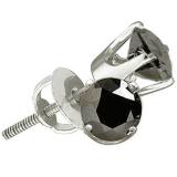 0.58 Carat (ctw) 10K White Gold Round Black Diamond Ladies Stud Earrings 1/2 ct