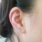 0.25 Carat (ctw) 10K White Gold Round Cut White Diamond Ladies Leaf Shaped Climber Earrings