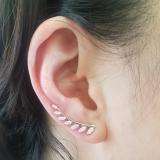 0.25 Carat (ctw) 10K White Gold Round Cut White Diamond Ladies Leaf Shaped Climber Earrings