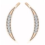 0.15 Carat (ctw) 10K Rose Gold Round White Diamond Ladies Climber Earrings