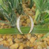 0.15 Carat (ctw) 10K Yellow Gold Round White Diamond Ladies Climber Earrings