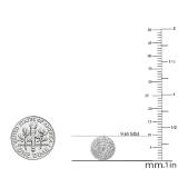 1.05 Carat (ctw) Sterling Silver Round White Diamond Ladies Cluster Stud Earrings 1 CT