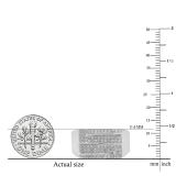 0.50 Carat (ctw) Sterling Silver Round White Diamond Men's Micro Pave Hip Hop Wedding Band 1/2 CT