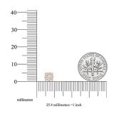 0.35 Carat (ctw) 18K Rose Gold Round White Diamond Round Shape Cluster Stud Earrings 1/3 CT