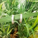 0.12 Carat (ctw) 14K White Gold Round White Diamond Ladies Huggie Hoop Earrings