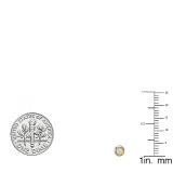 0.25 Carat (ctw) 10K Yellow Gold Round Cut Diamond Bezel Stud Earrings 1/4 CT