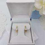 0.10 Carat (ctw) 18K Yellow Gold Plated Sterling Silver Round Diamond Ladies Hoop Earrings 1/10 CT