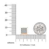 0.20 Carat (ctw) 10K Rose Gold Round Cut Diamond Kite Shape Mens Hip Hop Iced Stud Earrings 1/5 CT